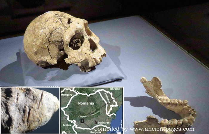 كانت أدلة hominins حاضرة في أوروبا قبل ذلك بكثير مما كان يعتقد سابقًا